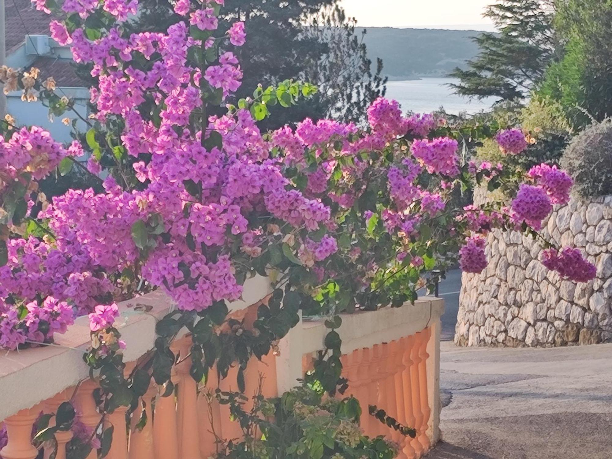 Apartment Stanka-Rab Kampor Εξωτερικό φωτογραφία