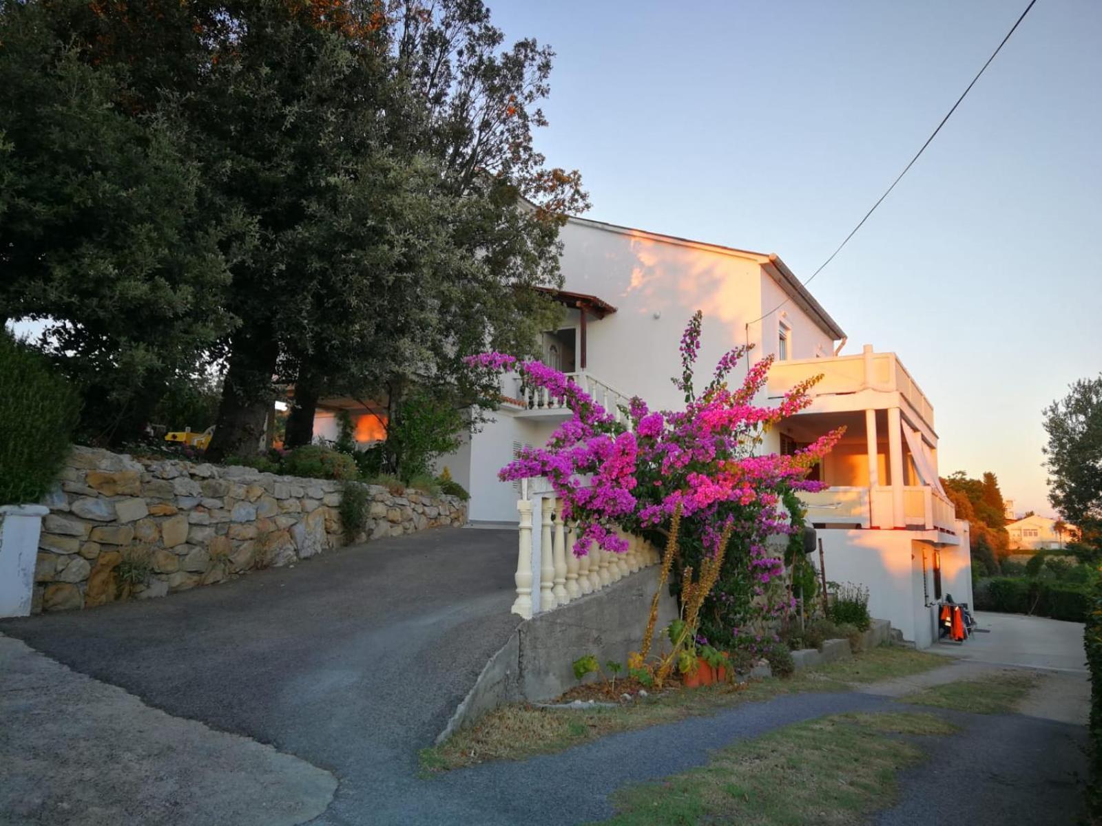 Apartment Stanka-Rab Kampor Εξωτερικό φωτογραφία